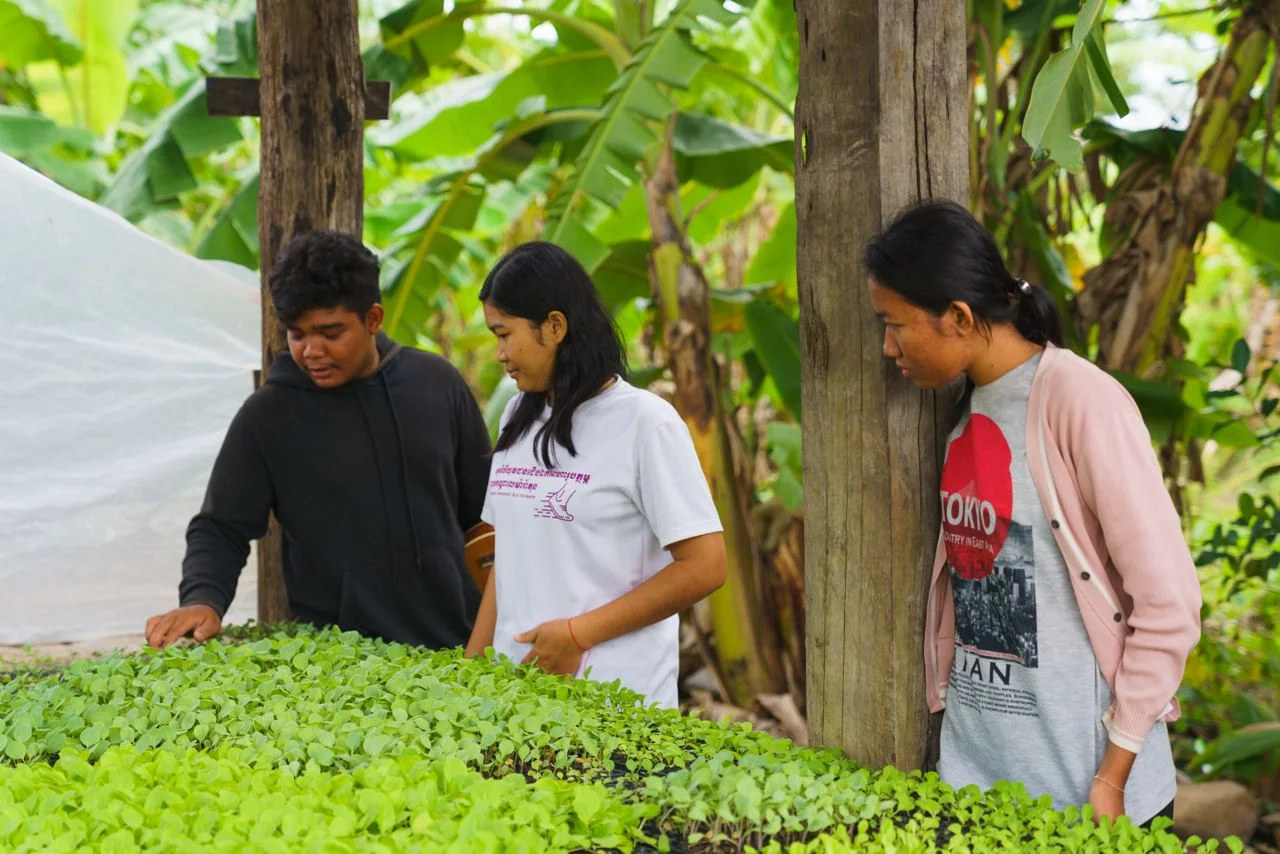 Young people learning together beside growing vegetables