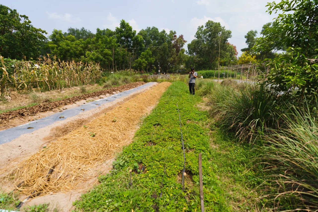 Research & Appropriate Technology